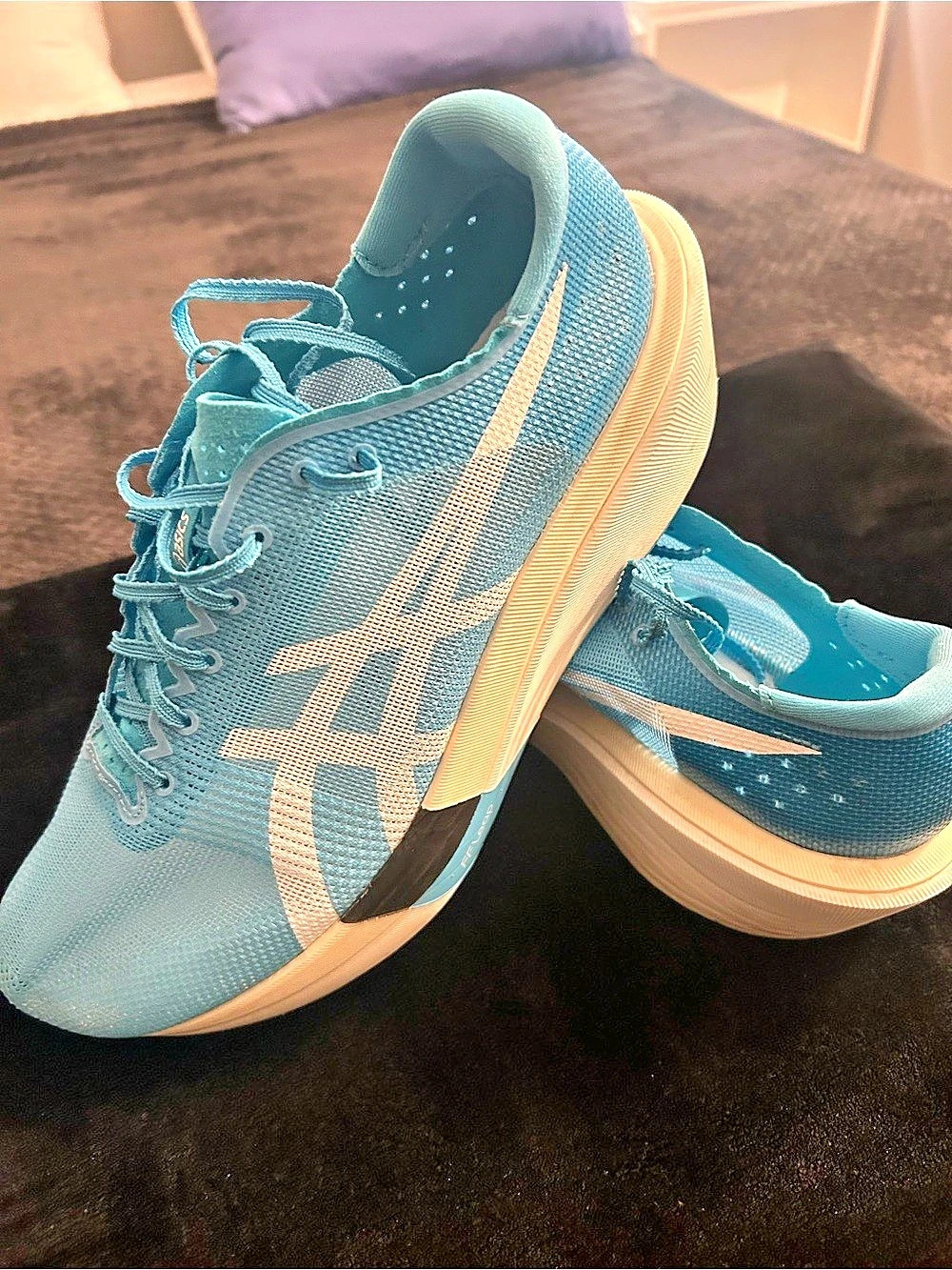 ASICS Metaspeed Sky Tokyo Athletic Sneakers Blue & White